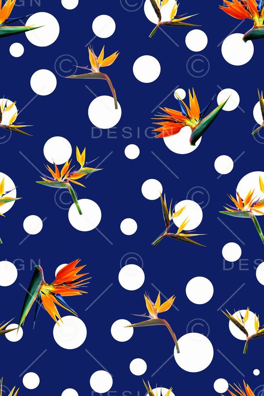 天堂鸟鹤望兰印花华亿平台图片