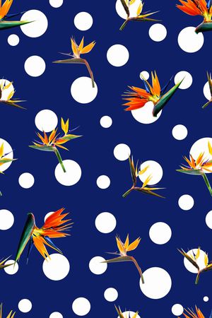 天堂鸟鹤望兰印花华亿平台图片