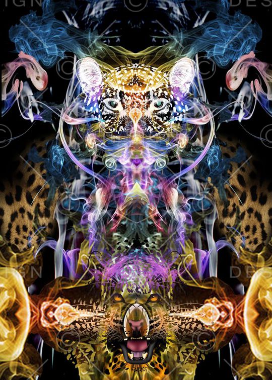 豹纹花卉印花华亿平台图片