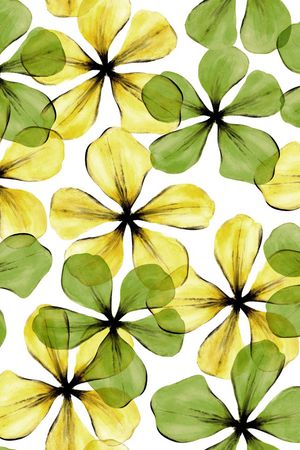 花朵印花华亿平台图片