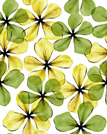 690895-02-040816-wml小板