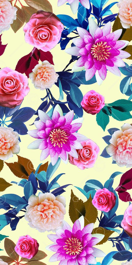 荷花印花华亿平台图片