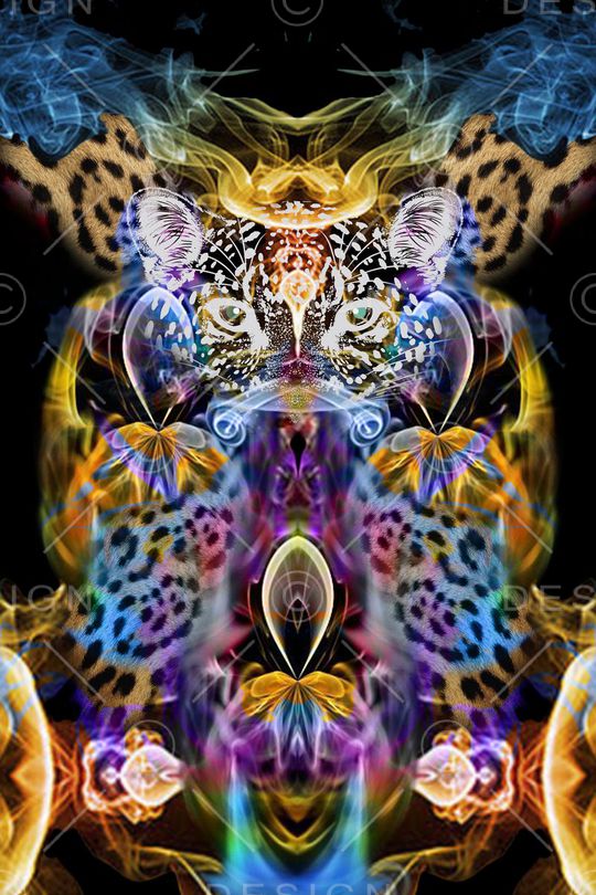 豹纹花卉印花华亿平台图片