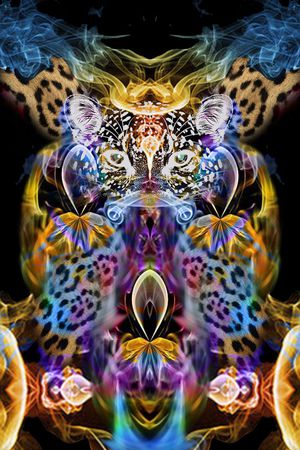 豹纹花卉印花华亿平台图片