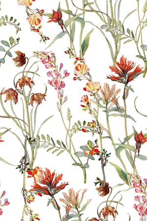 时尚潮流清爽花卉女装裙子长裙雪纺真丝棉布料印花印花华亿平台图片