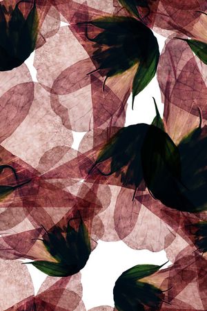 曼陀罗印花华亿平台图片