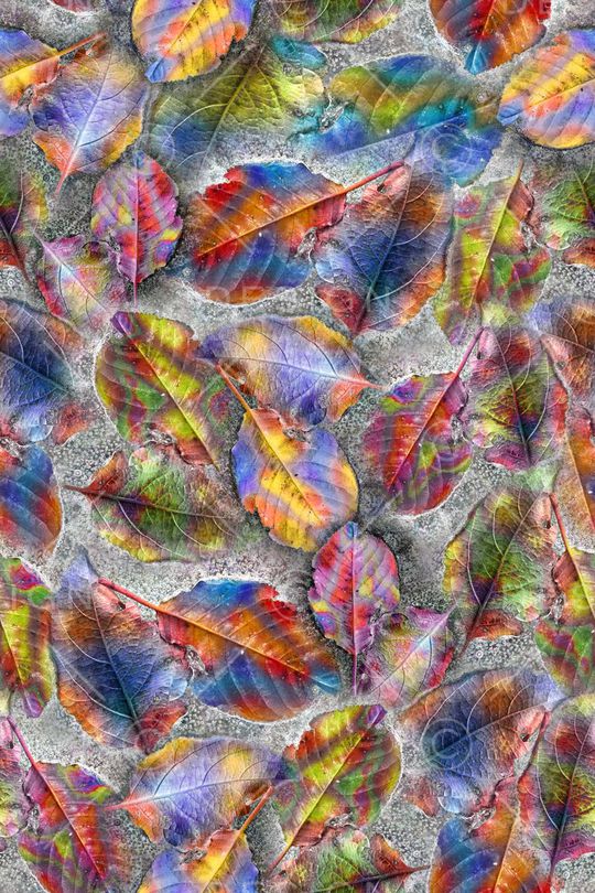 树叶印花华亿平台图片