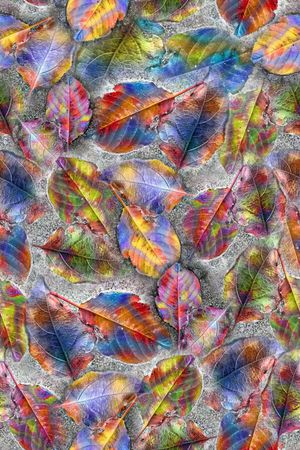 树叶印花华亿平台图片