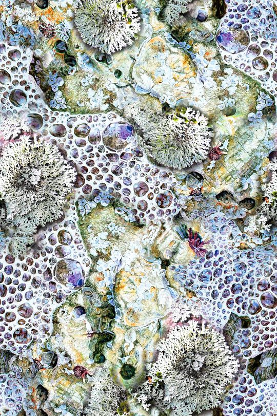 肌理印花华亿平台图片