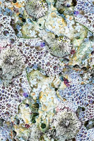 肌理印花华亿平台图片