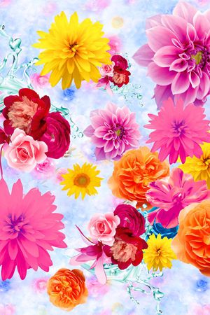 菊花印花华亿平台图片