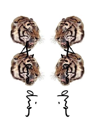 男装潮牌老虎结合dior风格印花华亿平台图片