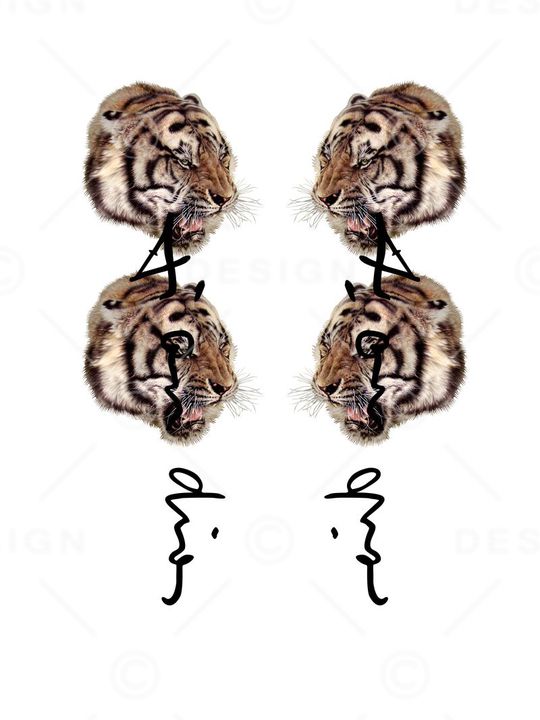 男装潮牌老虎结合dior风格印花华亿平台图片