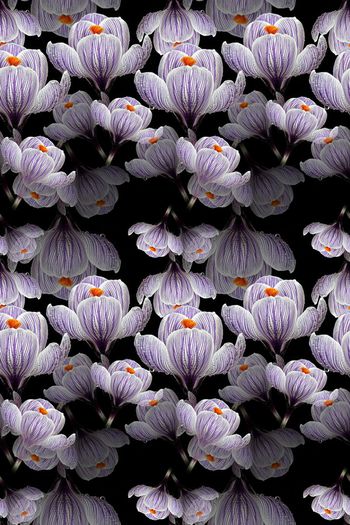 691153-160808-青蓝雅韵-5-1