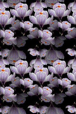 花卉背景印花华亿平台图片