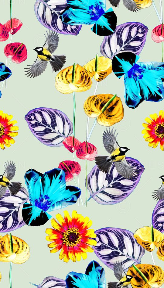 热带、花卉、动物、抽象印花华亿平台图片