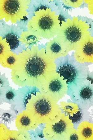 大花印花华亿平台图片