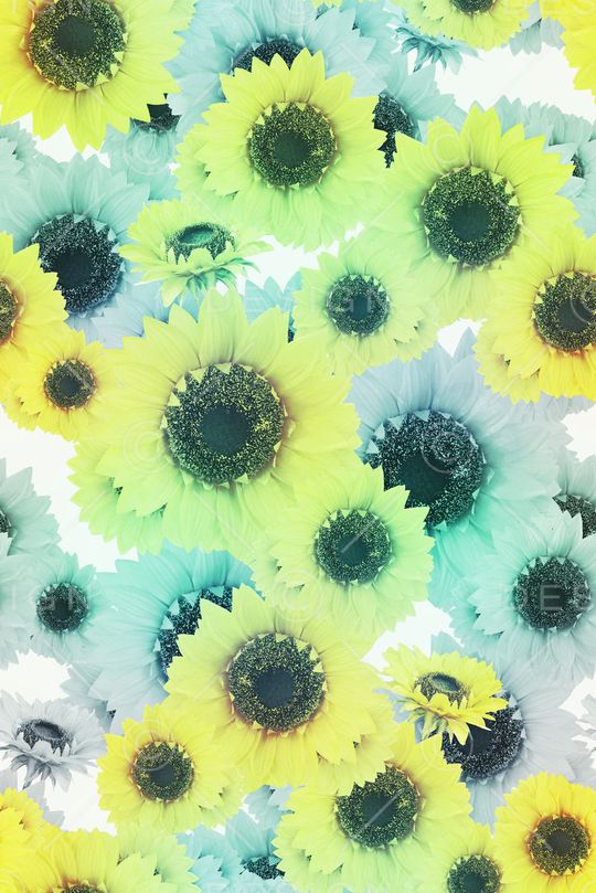 大花印花华亿平台图片