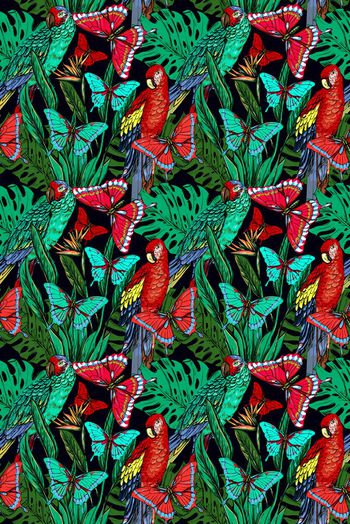 鹦鹉印花华亿平台图片