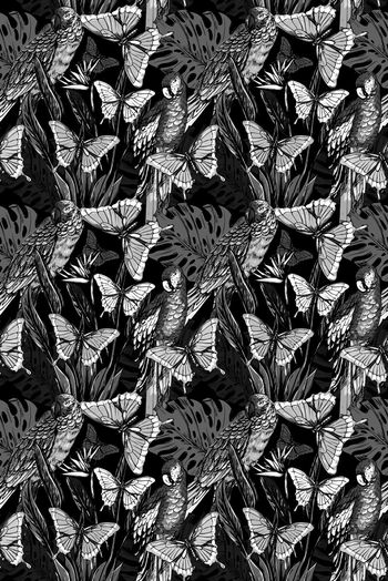 691348-手绘蝴蝶鹦鹉1