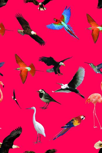 691351-艺术鸟组合1