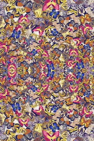 时尚印花华亿平台图片