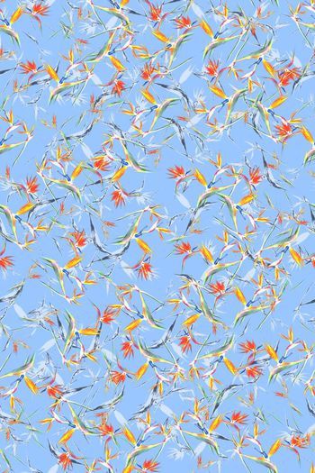 17早春系列印花华亿平台图片