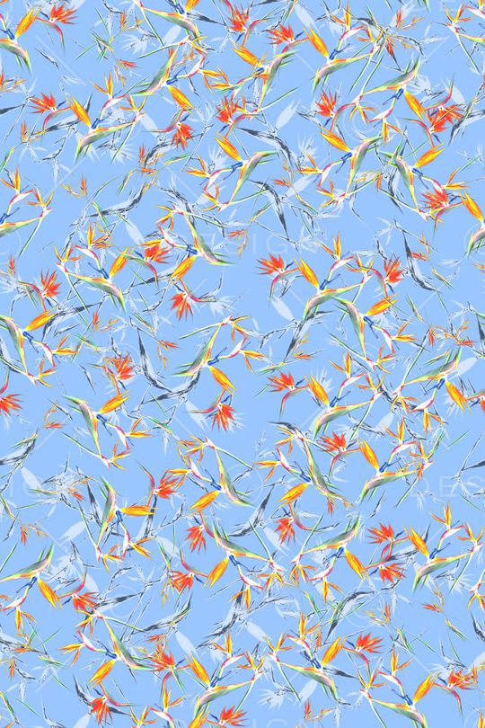 17早春系列印花华亿平台图片