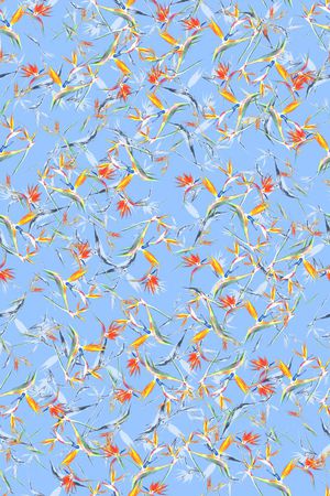 17早春系列印花华亿平台图片