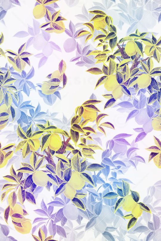 树枝印花华亿平台图片