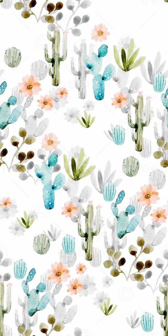 仙人球印花华亿平台图片