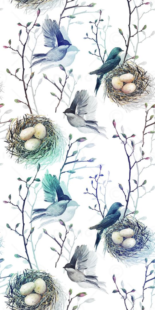 鸟类印花华亿平台图片