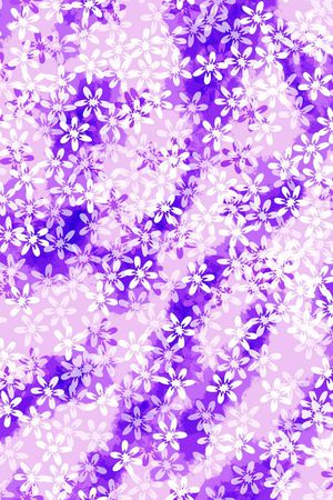 2017年春夏女装花卉印花华亿平台图片