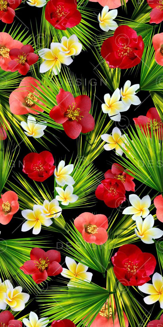 棕榈叶印花华亿平台图片