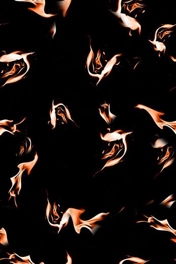 691732-FLZ-8-98.....