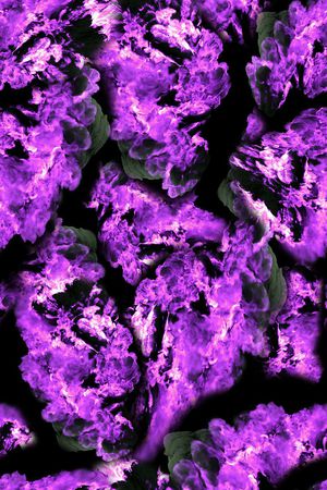 星空印花华亿平台图片