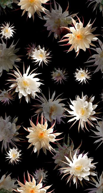 花朵印花华亿平台图片