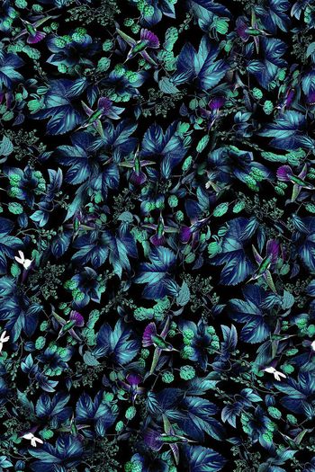 691843-FLZ-8-91。。