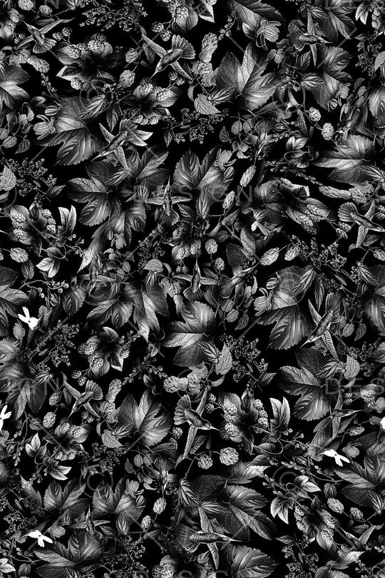 鸟儿印花华亿平台图片