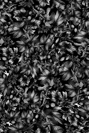 691844-FLZ-8-91。。。