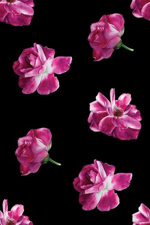 绽放印花华亿平台图片