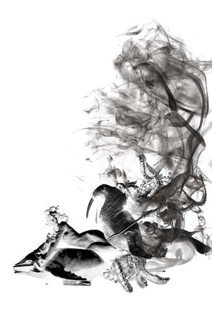 海洋生物烟雾印花华亿平台图片