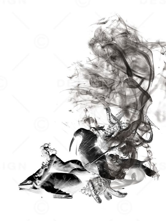 海洋生物烟雾印花华亿平台图片