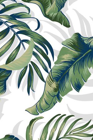 芭蕉叶印花华亿平台图片