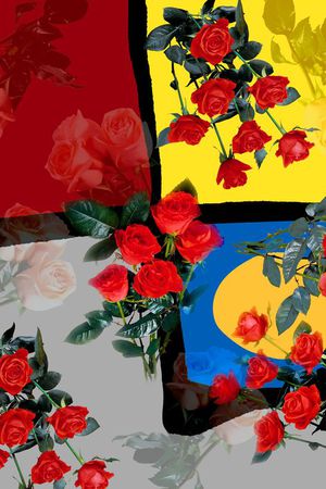 方巾印花华亿平台图片