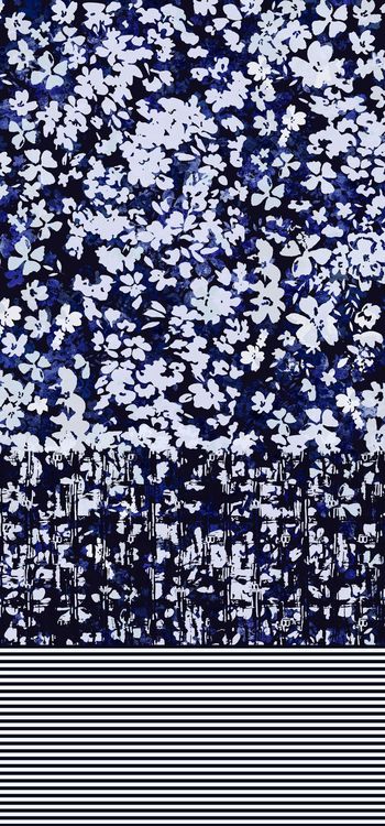 692169-蓝色雏菊 --2