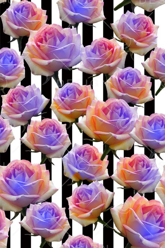 条纹印花华亿平台图片