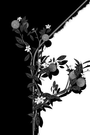 DIOR风格花鸟工笔画定位花印花华亿平台图片