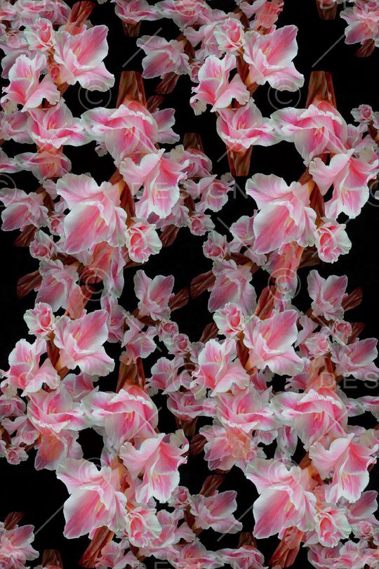 花朵印花华亿平台图片