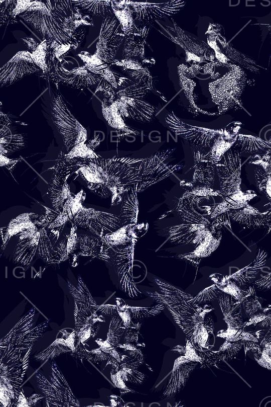 鸟儿印花华亿平台图片